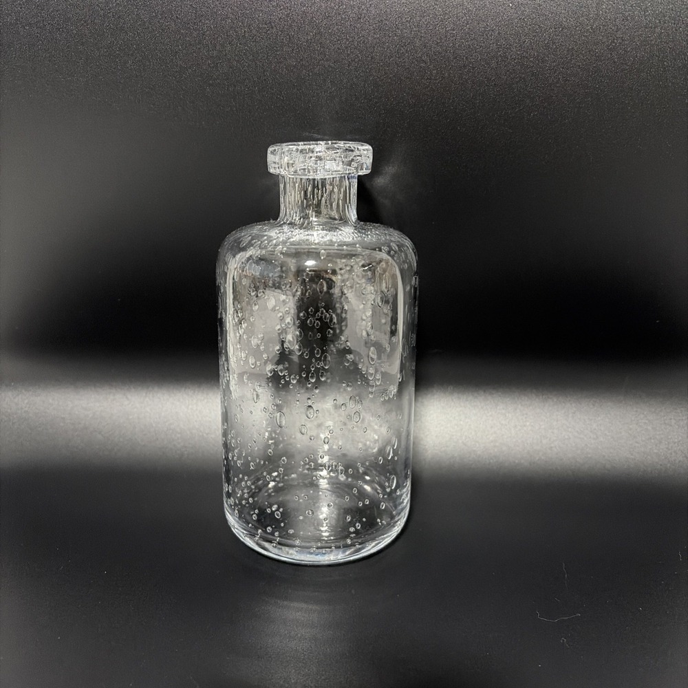 Clear Bubble Glass Vase Seeded Modern Decorative Bottle Bud Vase